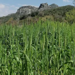 Kadirli Castle - Kadirli
