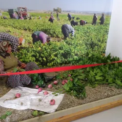 Osmaniye Museum - Kadirli