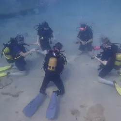 Kalkan Diving Center - Kalkan