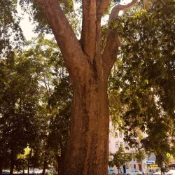 Aktekke Mosque - Karaman