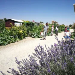 Karaman Valley - Karaman