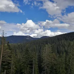 Ilgaz Mountain National Park - Kastamonu