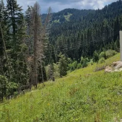 Ilgaz Mountain National Park - Kastamonu