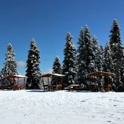 Ilgaz Mountain National Park - Kastamonu