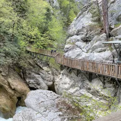 Küre Mountains National Park - Kastamonu