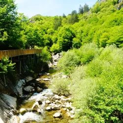 Küre Mountains National Park - Kastamonu