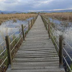 Sultan Marshes (Sultan Sazlığı) - Kayseri