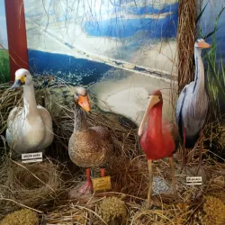 Sultan Marshes (Sultan Sazlığı) - Kayseri