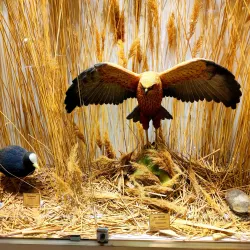 Sultan Marshes (Sultan Sazlığı) - Kayseri