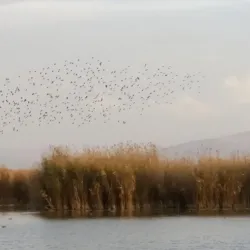 Sultan Marshes (Sultan Sazlığı) - Kayseri