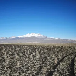 Sultan Marshes (Sultan Sazlığı) - Kayseri