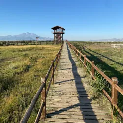 Sultan Marshes (Sultan Sazlığı) - Kayseri