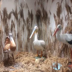 Sultan Marshes (Sultan Sazlığı) - Kayseri