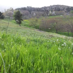 Kilis City Park - Kilis