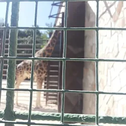 Kilis City Park - Kilis