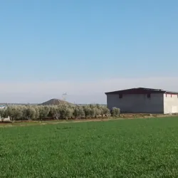 Kilis Grand Mosque - Kilis