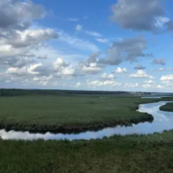 Longoz Forests National Park - Kirklareli