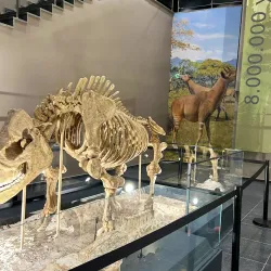 Kirsehir Archaeological Museum - Kirsehir