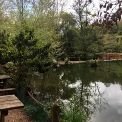 Ballıkayalar Nature Park - Kocaeli