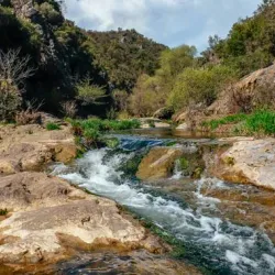 Ballıkayalar Nature Park - Kocaeli