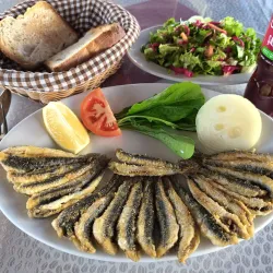 Izmit Marina - Kocaeli