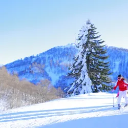 Kartepe Ski Resort - Kocaeli