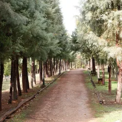 Emet Thermal Springs - Kutahya