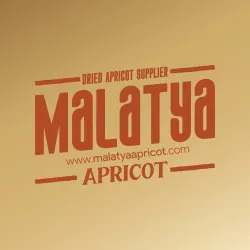 Malatya Apricot Festival - Malatya