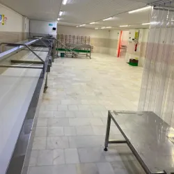 Malatya Apricot Festival - Malatya