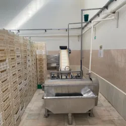 Malatya Apricot Festival - Malatya