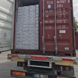 Malatya Apricot Festival - Malatya