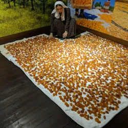 Malatya Museum - Malatya