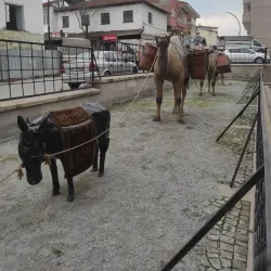 Silahtar Mustafa Pasha Mosque - Malatya