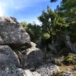 Selge Ancient City - Manavgat