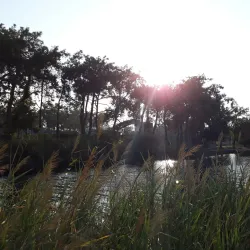 Titreyengöl Lake - Manavgat