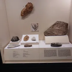 Akhisar Museum - Manisa