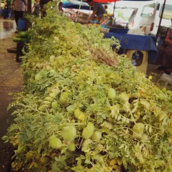 Manisa Bazaar - Manisa