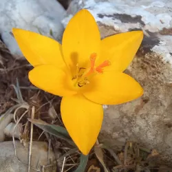 Spil Mountain National Park - Manisa