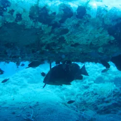 Atlantis Diving Center - Marmaris