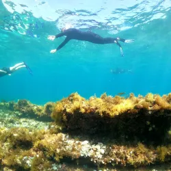Atlantis Diving Center - Marmaris