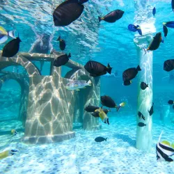 Sealanya Dolphinpark Seapark - Marmaris