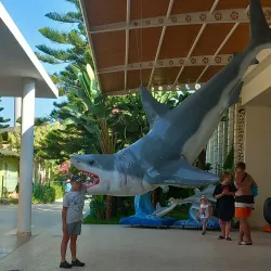 Sealanya Dolphinpark Seapark - Marmaris