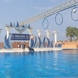 Sealanya Dolphinpark Seapark - Marmaris