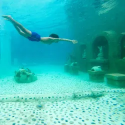 Sealanya Dolphinpark Seapark - Marmaris