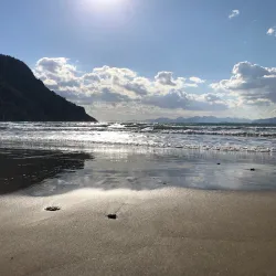 Dalyan River and Iztuzu Beach - Mugla