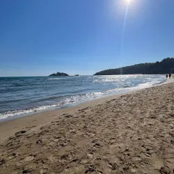 Dalyan River and Iztuzu Beach - Mugla