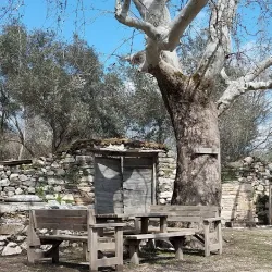 Stratonikeia Ancient City - Mugla