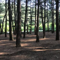 Cebelibereket Nature Park - Osmaniye