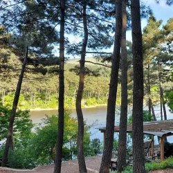 Aydos Forest (Aydos Ormanı) - Pendik