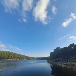 Aydos Forest (Aydos Ormanı) - Pendik